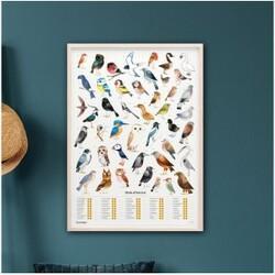Luckies Of London Plakat med Havefugle - Hurtig Levering