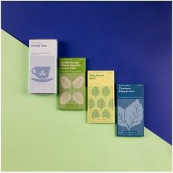 Piccolo Seeds Urte Te Frø - Hurtig levering 2-4 dage